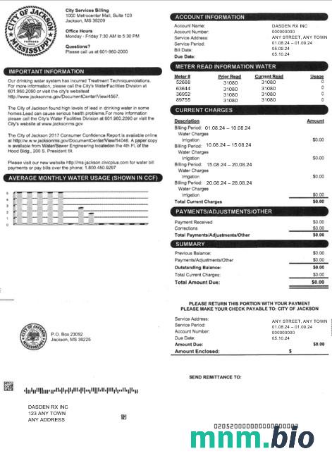 USA Miasto JACKSON rachunek za usługi komunalne słowo i szablon PDF